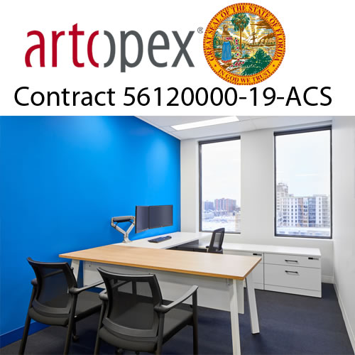 ARTOPEX_RKR_56120000-19-acs CONTRACT